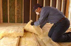 Best Insulation Removal  in Altamont, IL