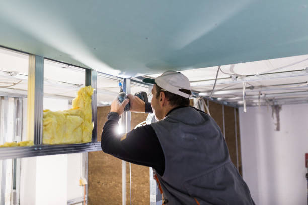 Best Radiant Barrier Insulation  in Altamont, IL