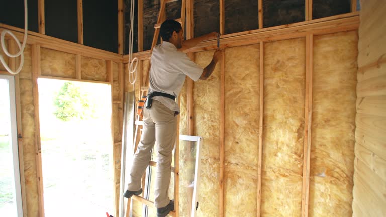 Best Fireproof Insulation  in Altamont, IL